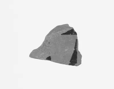Attic Black-Figure Amphora Fragment