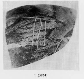 ARYBALLOS, FRAGMENT (ETRUSCO-CORINTHIAN, BLACK-FIGURE)