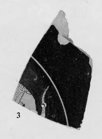 CUP, FRAGMENT (ATHENIAN, RED-FIGURE)