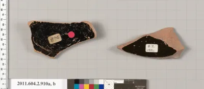 Terracotta fragments of bell-kraters (bowls for mixing wine and water)?