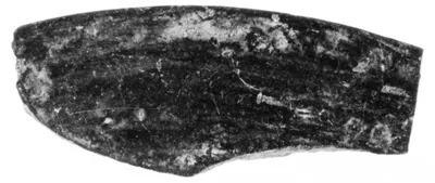 Undecorated Base Fragment