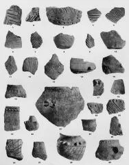 VARIOUS (VUCEDOL)