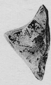 KRATER, FRAGMENT (ATHENIAN GEOMETRIC, SILHOUETTE)
