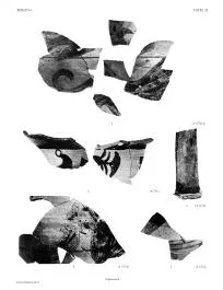 VARIOUS (AEGINETAN, BLACK-FIGURE)
