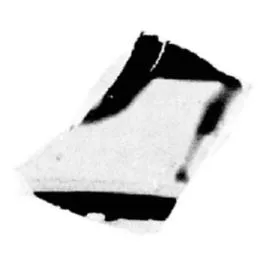 CUP, LITTLE MASTER BAND, FRAGMENT (ATHENIAN, BLACK-FIGURE)