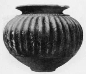 PYXIS (VEIAN)