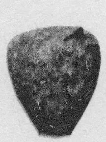 ARYBALLOS (PROTOCORINTHIAN)