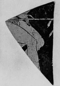 FRAGMENTS (FALISCAN, RED-FIGURE)