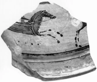 LID, FRAGMENT (ATHENIAN, BLACK-FIGURE)
