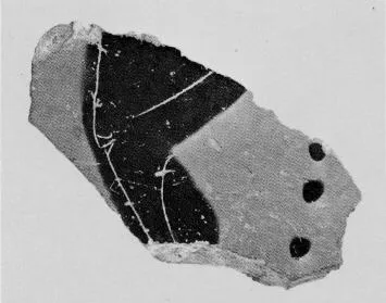 FRAGMENT (ATHENIAN, BLACK-FIGURE)