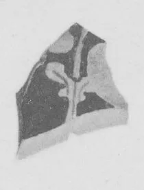 CUP, FRAGMENTS (ATHENIAN, RED-FIGURE)