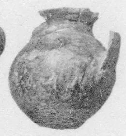 JAR (VILLA NOVA)