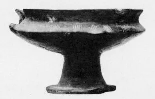 CUP (VEIAN)