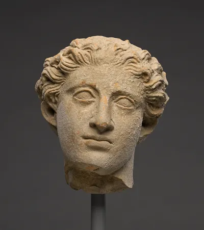 Head of a Youth