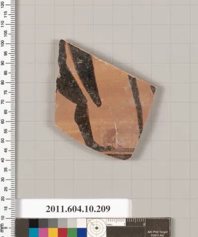 Terracotta fragment of an amphora (jar)