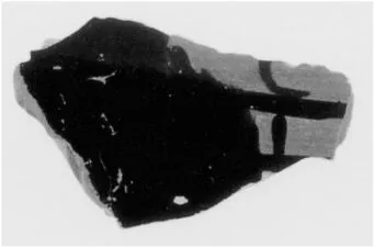 FRAGMENT (ATHENIAN, BLACK-FIGURE)