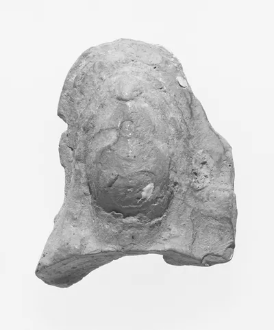 Female Head