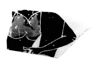 CUP, SIANA, FRAGMENT (ATHENIAN, BLACK-FIGURE)