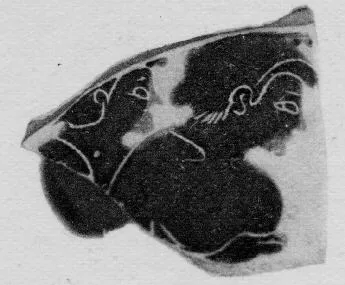 SKYPHOS, FRAGMENTS (ATHENIAN, BLACK-FIGURE)