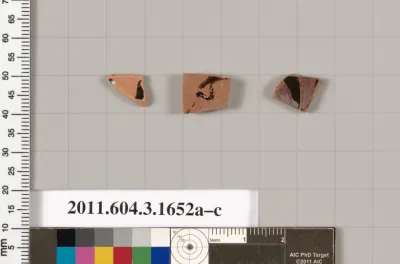 Terracotta fragments of kylikes: Band or lip cups (drinking cups)