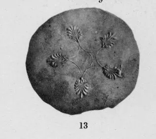 PLATE (ATHENIAN, BLACK GLAZE)