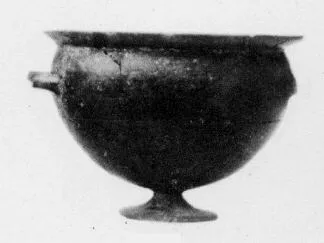 CUP (VEIAN)