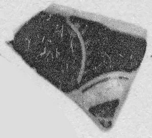 CUP, FRAGMENT (ATHENIAN, RED-FIGURE)