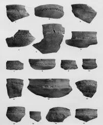 VARIOUS (VUCEDOL)
