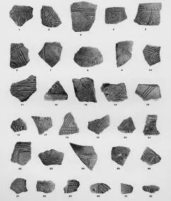 VARIOUS (VUCEDOL)
