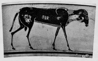 CUP, LITTLE MASTER LIP (ATHENIAN, BLACK-FIGURE)