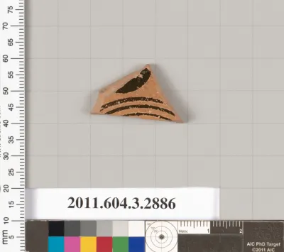 Terracotta fragment of a closed shape