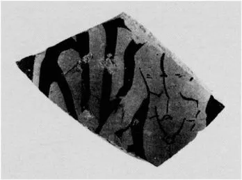 CUP SKYPHOS, FRAGMENT (ATHENIAN, RED-FIGURE)