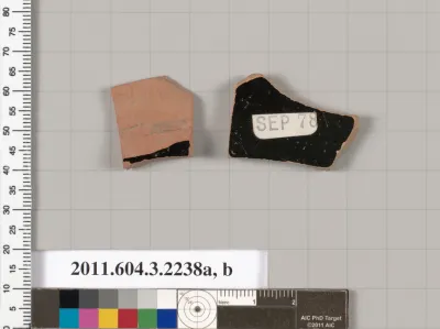 Terracotta fragments of kylikes (drinking cups)