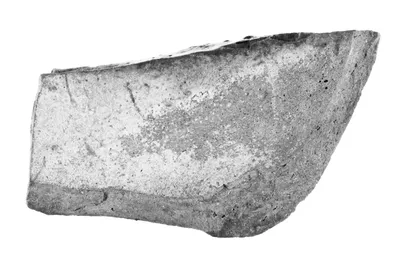 Etruscan Black-Figure Oinochoe Fragment