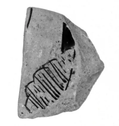 Attic Red-Figure Stamnos Fragment