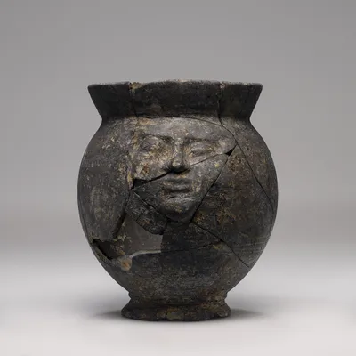 Face Mug