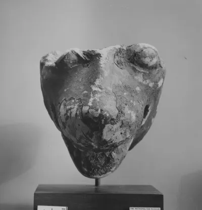 Head of a lion