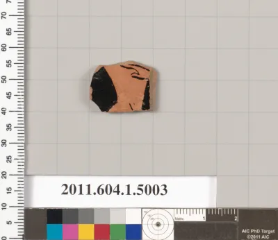 Terracotta fragment of a kylix (drinking cup)