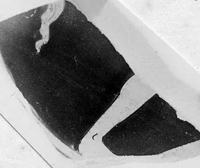 CUP, FRAGMENT (ATHENIAN, RED-FIGURE)