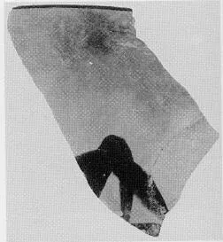 CUP, FRAGMENTS (ATHENIAN, BLACK-FIGURE)