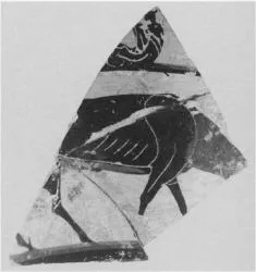 KRATER, COLUMN (?), FRAGMENT (ATHENIAN, BLACK-FIGURE)