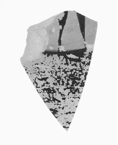 Attic Black-Figure Amphora Fragment