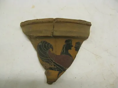 amphore