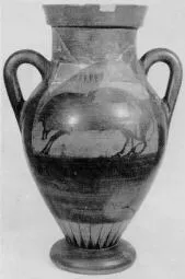 AMPHORA, BELLY (ETRUSCAN, BLACK-FIGURE)