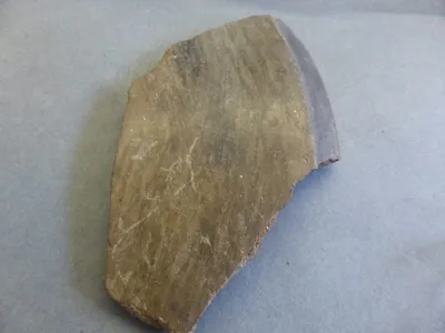 plat ; fragment