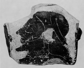 KRATER, COLUMN, FRAGMENT (ATHENIAN, BLACK-FIGURE)