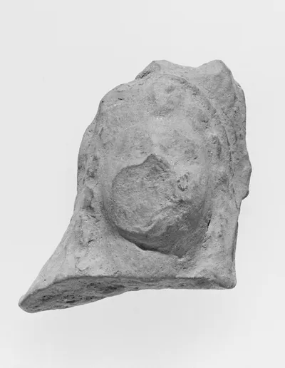Female Head
