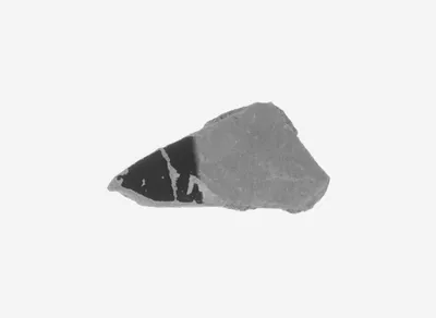 Attic Black-Figure Amphora Fragment