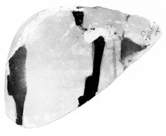 LEBES, FRAGMENT (ATHENIAN, RED-FIGURE)