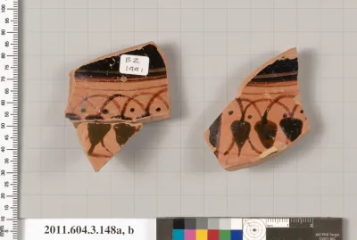 Terracotta fragments of an amphora (jar)